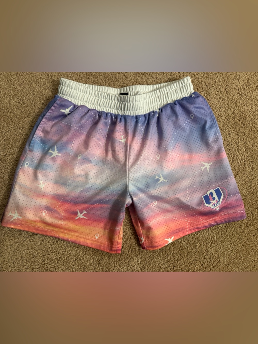 BL101 Flight Map Shorts